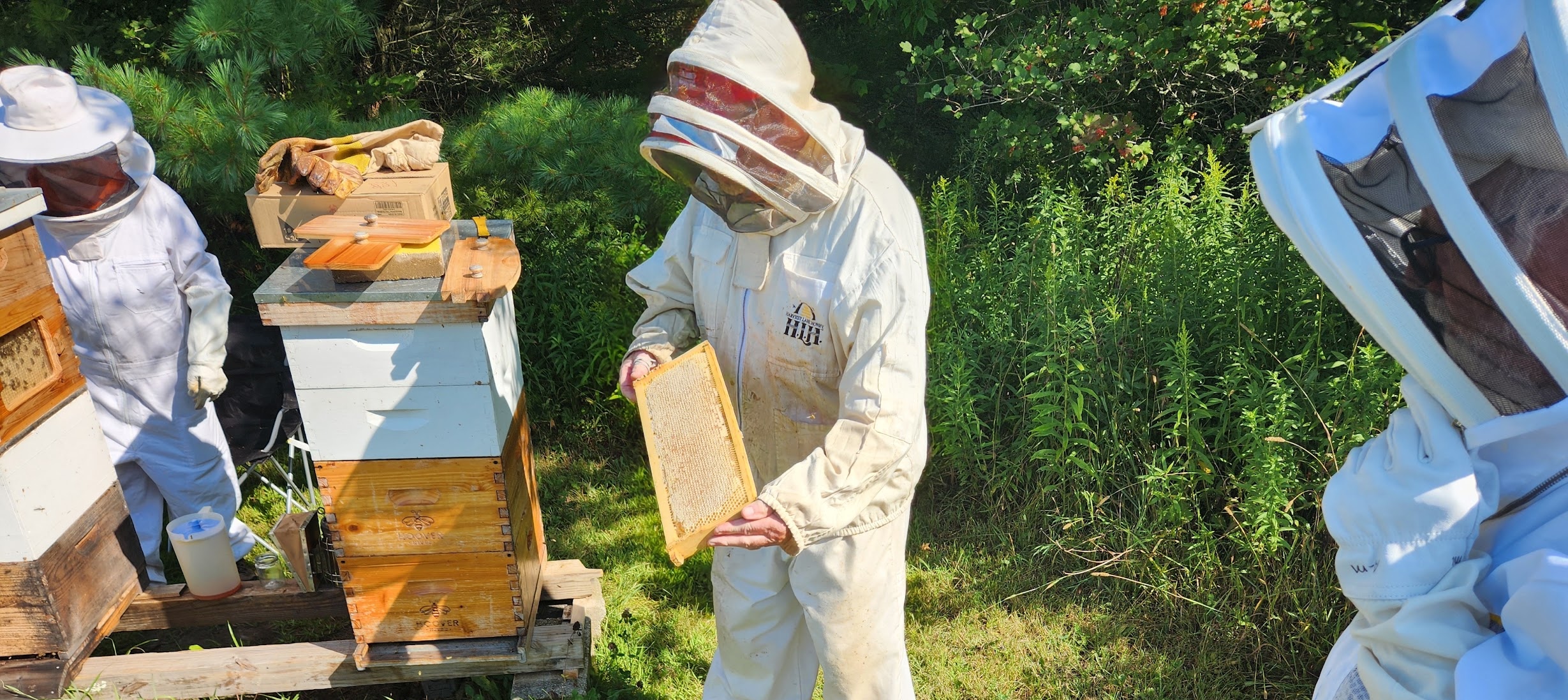 2026 dcbc honey harvest