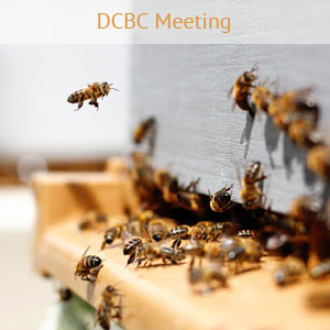 DCBC-meeting-event