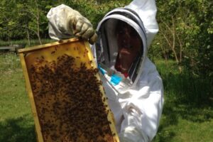 beekeeper-with-frame-of-bees